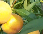 Sеİ׸  10̖